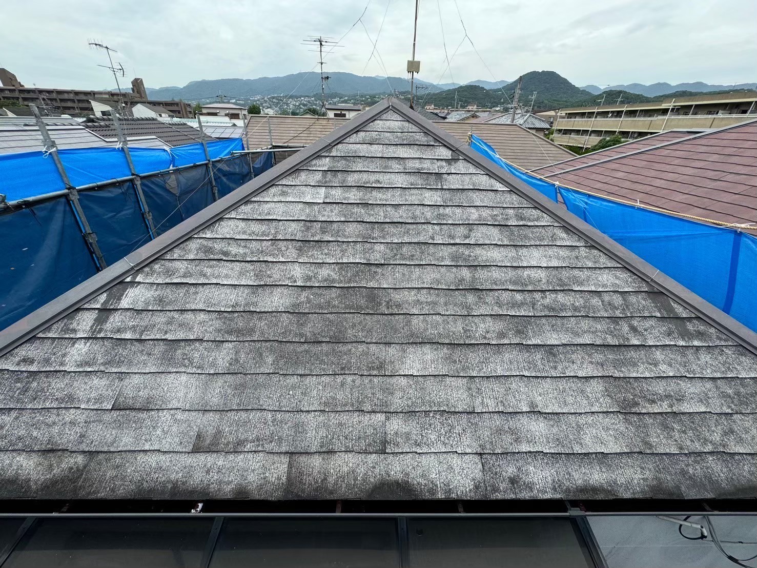 兵庫県西宮市M様の屋根塗装事例【2026年最新】